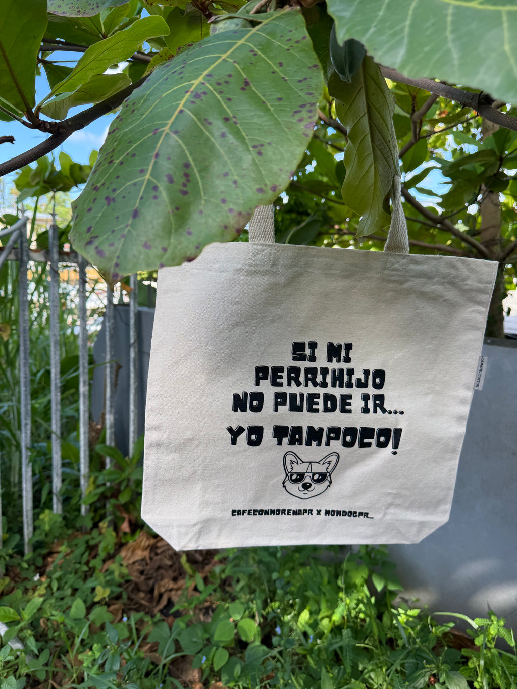 SI MI PERRIHIJO NO PUEDE IR YO TAMPOCO