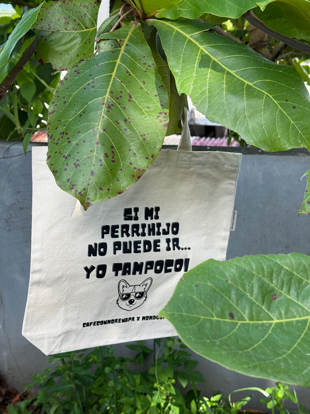 SI MI PERRIHIJO NO PUEDE IR YO TAMPOCO